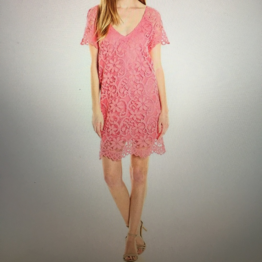 Scallop Lace Shift Dress