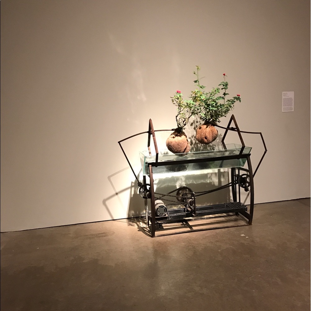 Meet your Posher, Catherene