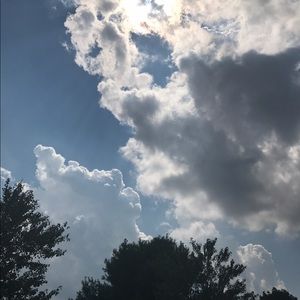 Meet your Posher, Nichelle