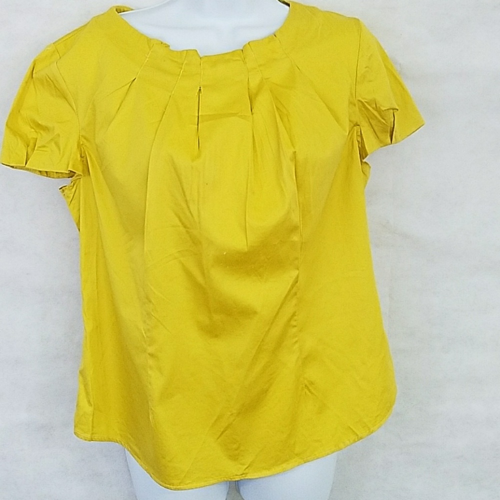 Pleated gold Biacci blouse