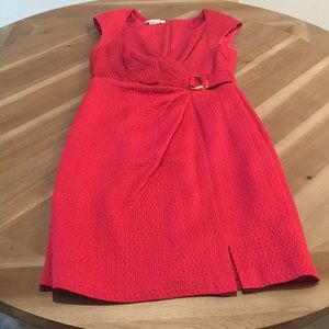 Kay Unger Dress in raspberry