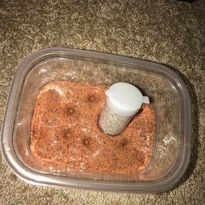 Christmas cookie slime (not real)