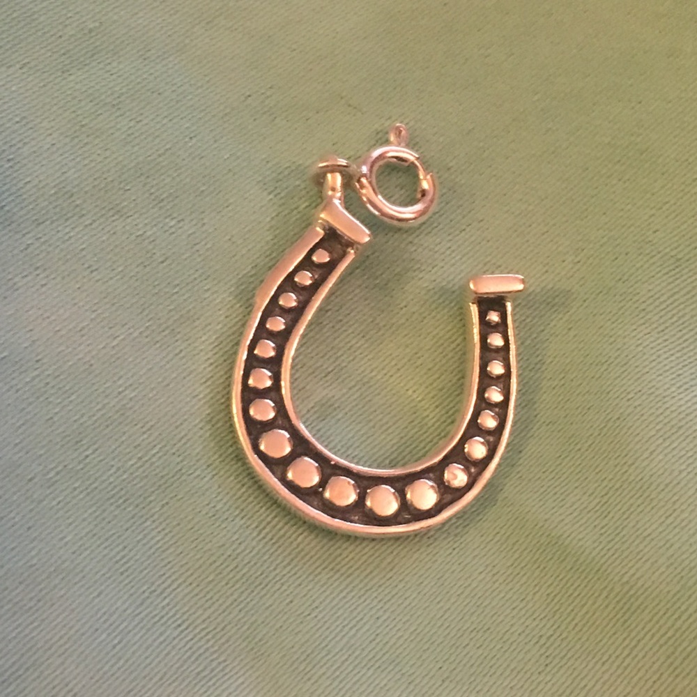 Sterling Silver Latched Horse Shoe Charm