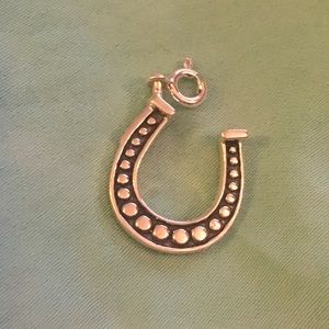 Sterling Silver Latched Horse Shoe Charm