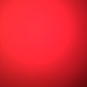 Meet your Posher, Searra