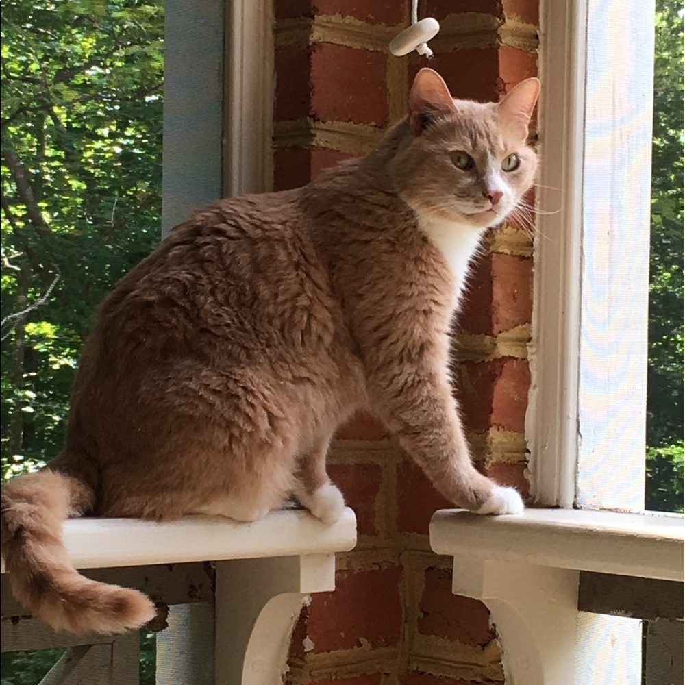 Meet your Posher, Wenbren