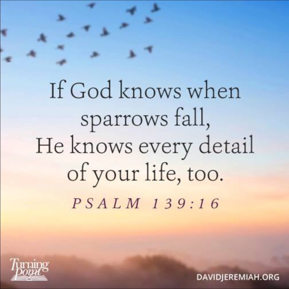 Meet your Posher, Chichi