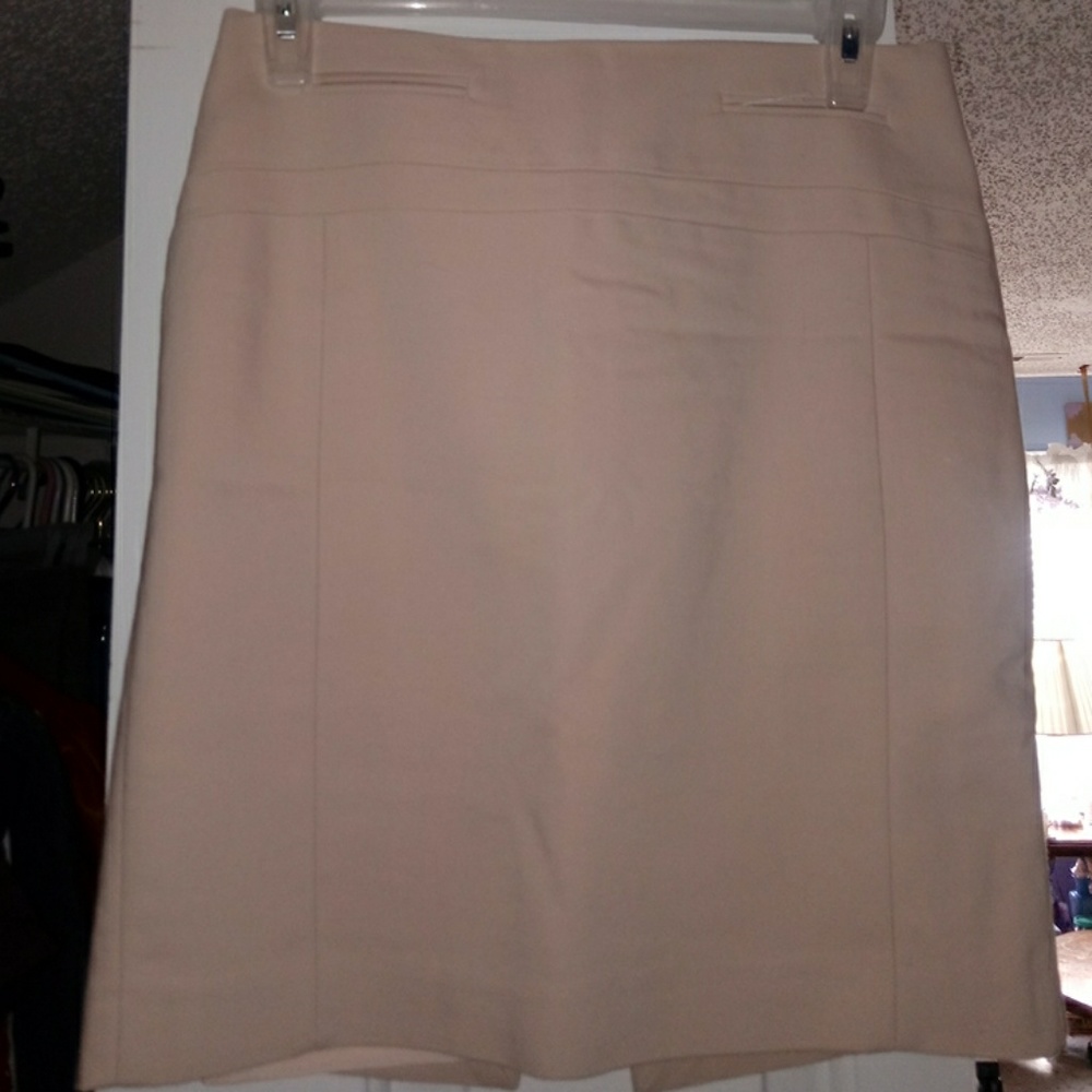 Express Blush Skirt