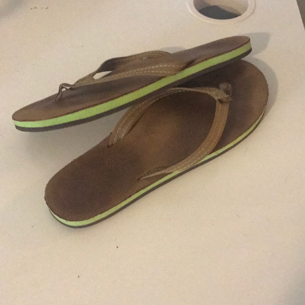 brown rainbows with green sides