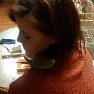 Meet your Posher, Kami