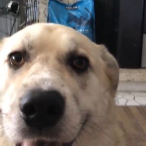 Meet your Posher, Becca