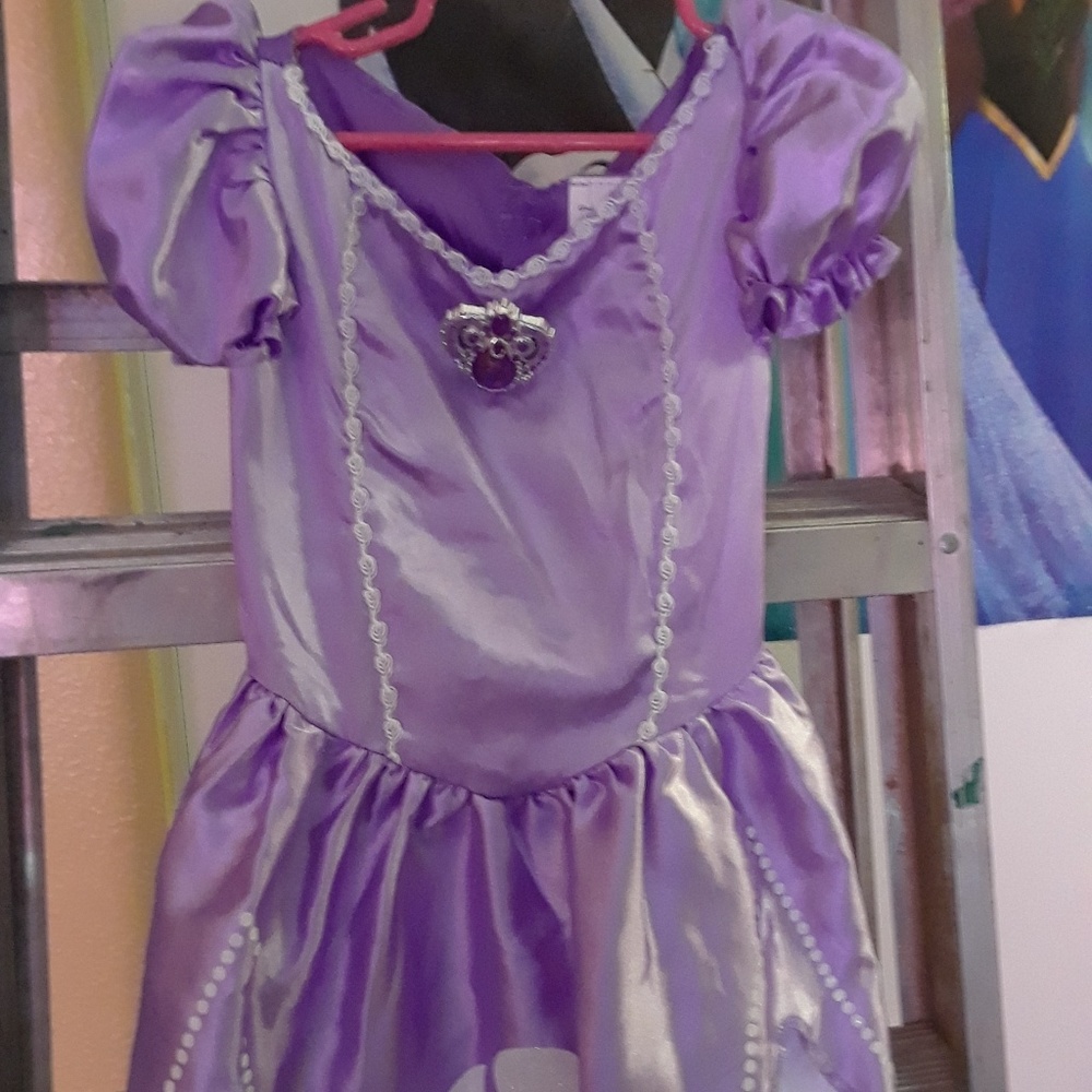 Sofia the first costume