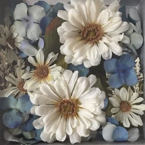 Meet your Posher, Ana