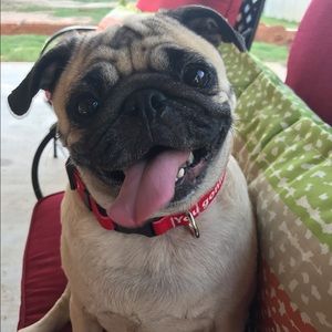 Meet your Posher, Shelly