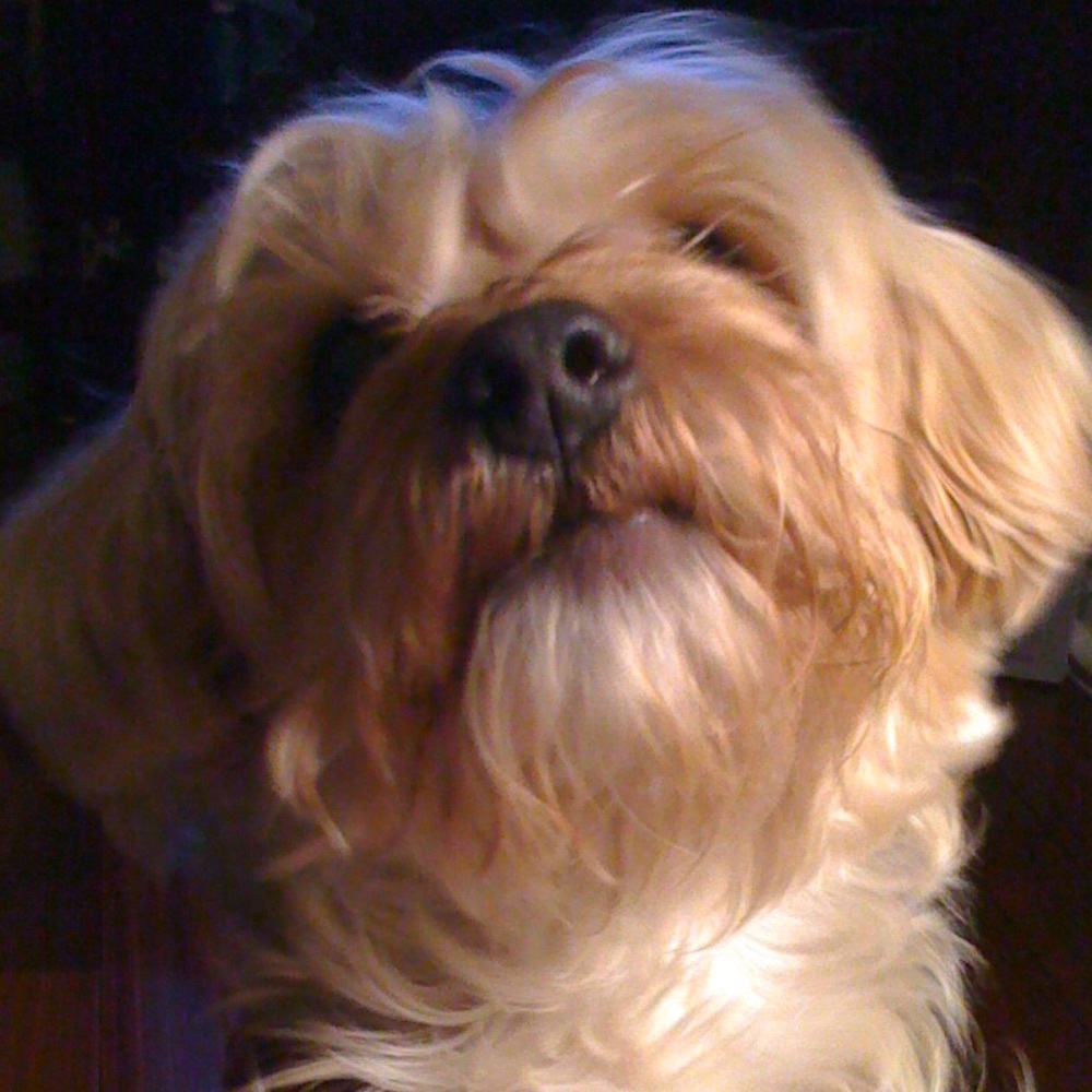 Meet your Posher, Gabriela