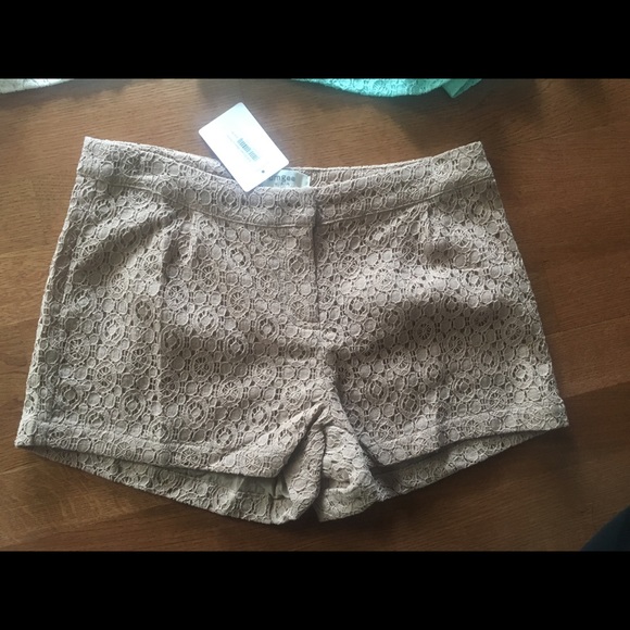 LOOT WOMENS SIZE MEDIUM SHORTS!!! New with tags!!! - Picture 2 of 6
