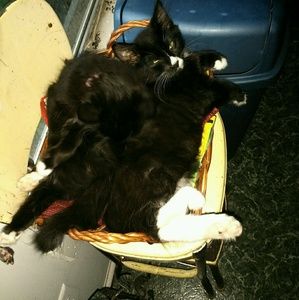 Meet your Posher, Kara