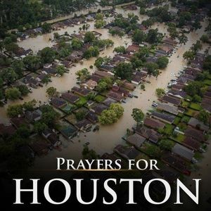 Meet your Posher, Ladaysha