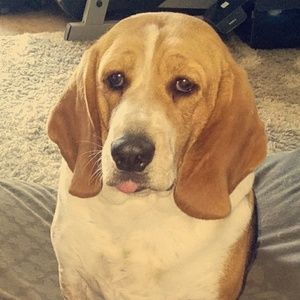 Meet your Posher, Beth