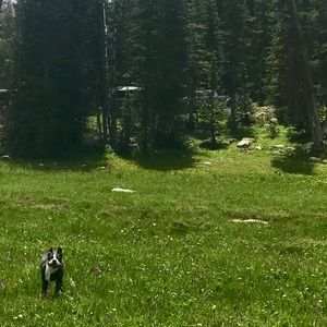 Meet your Posher, Laura