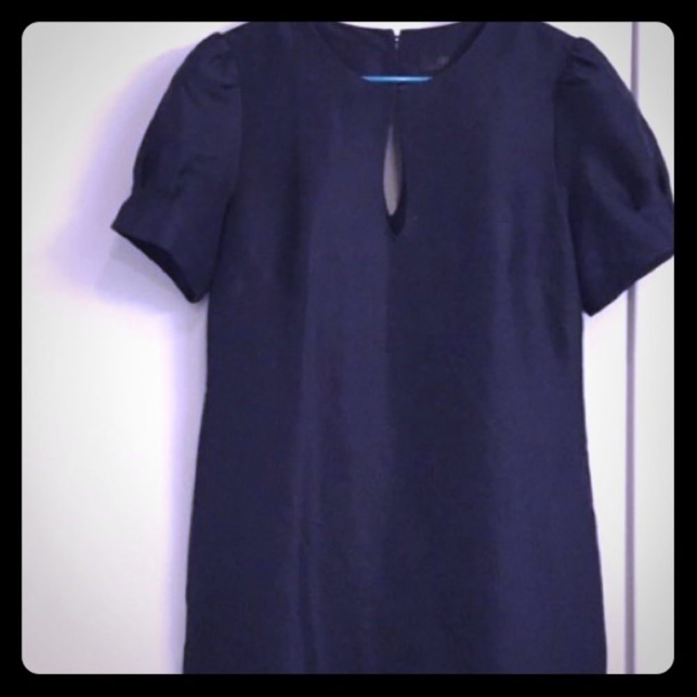 Banana Republic Navy Silk Dress