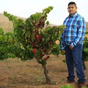 Meet your Posher, Joshua