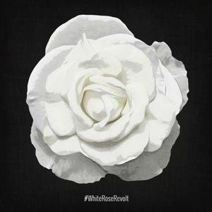 Meet your Posher, Joanne