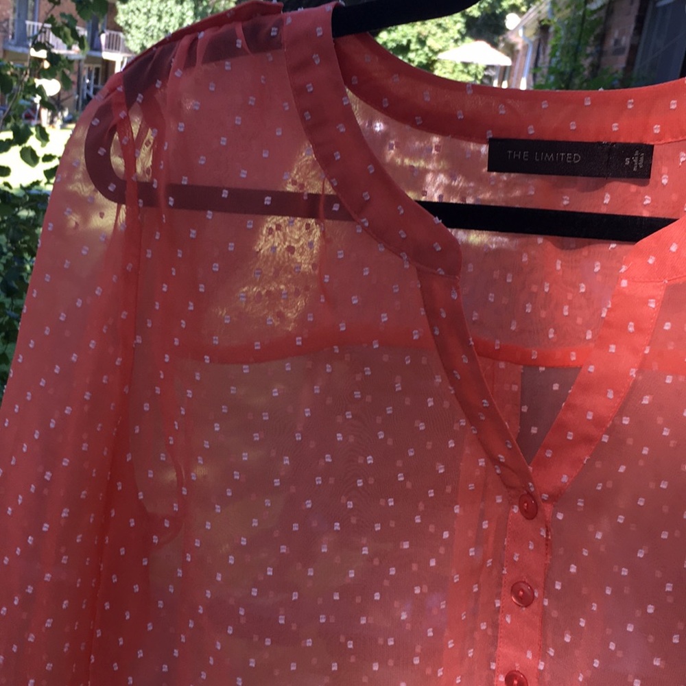 Last Chance! The Limited / Sheer color blouse