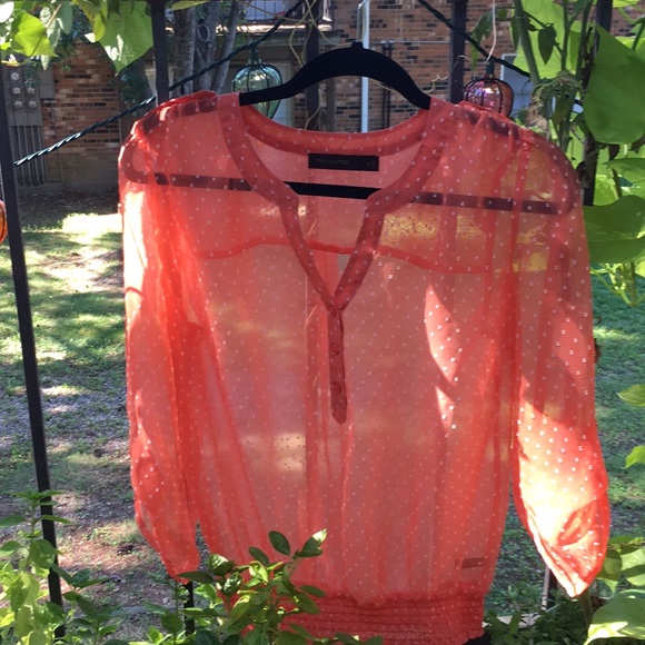 Last Chance! The Limited / Sheer color blouse - Picture 2 of 2