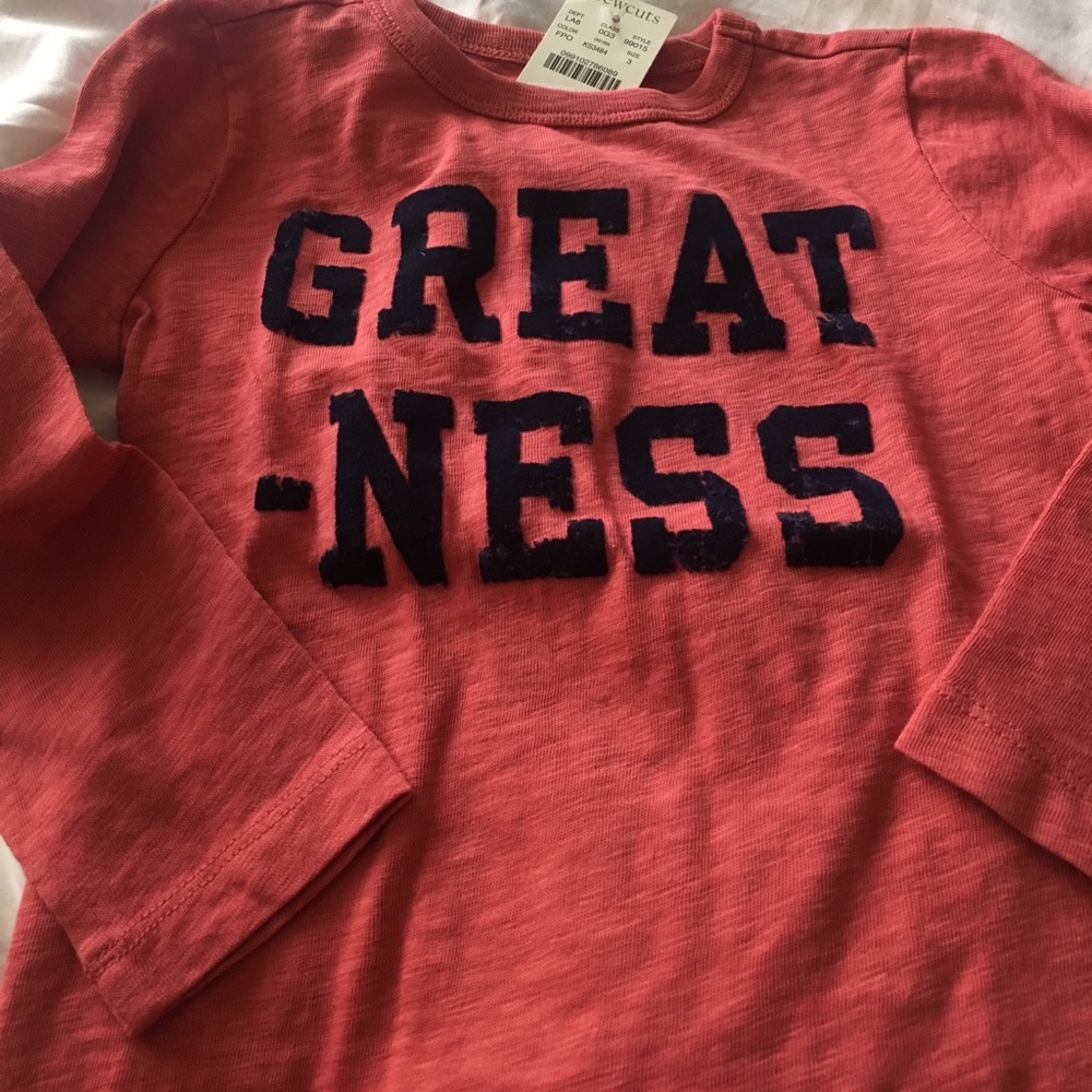 Crewcuts Greatness Long sleeve tee
