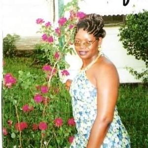 Meet your Posher, Damatia