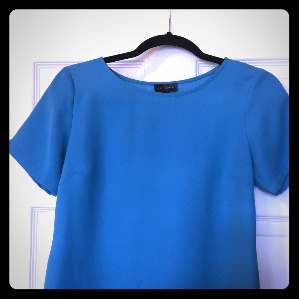 The Limited Blue Top