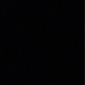 Meet your Posher, Gianna