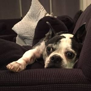 Meet your Posher, Lisa