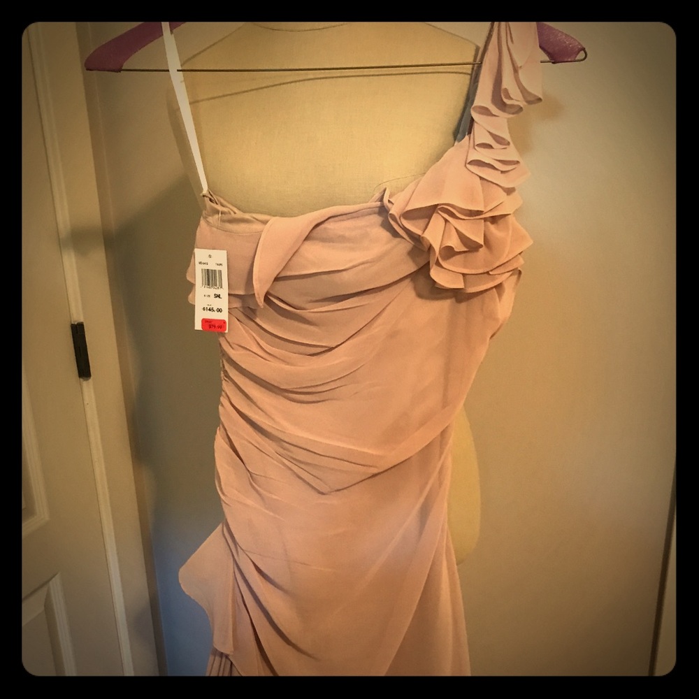 Beige 5/48 Dress from Saks Off 5th! New with Tags