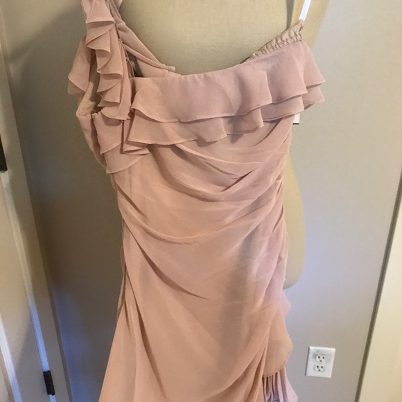 Beige 5/48 Dress from Saks Off 5th! New with Tags - Picture 4 of 6