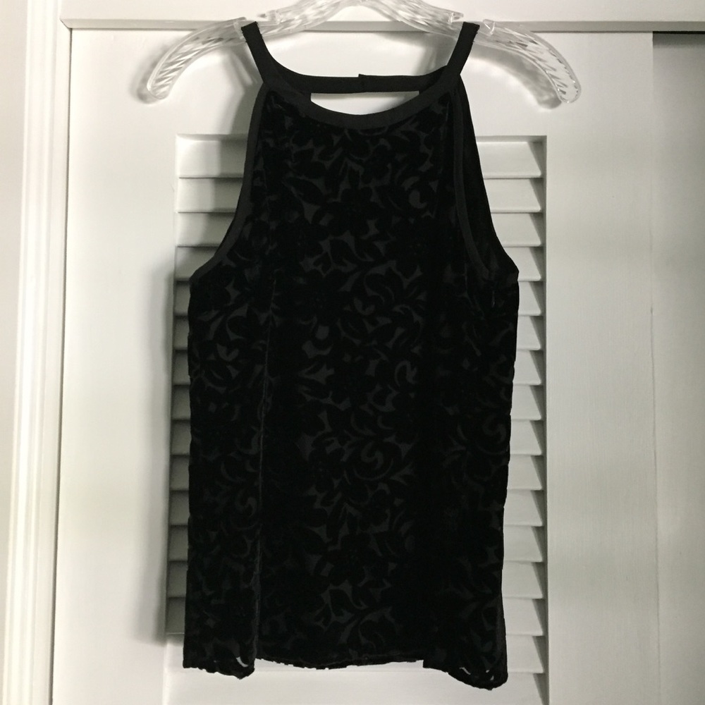 Stitch Fix velvet burnout detail top