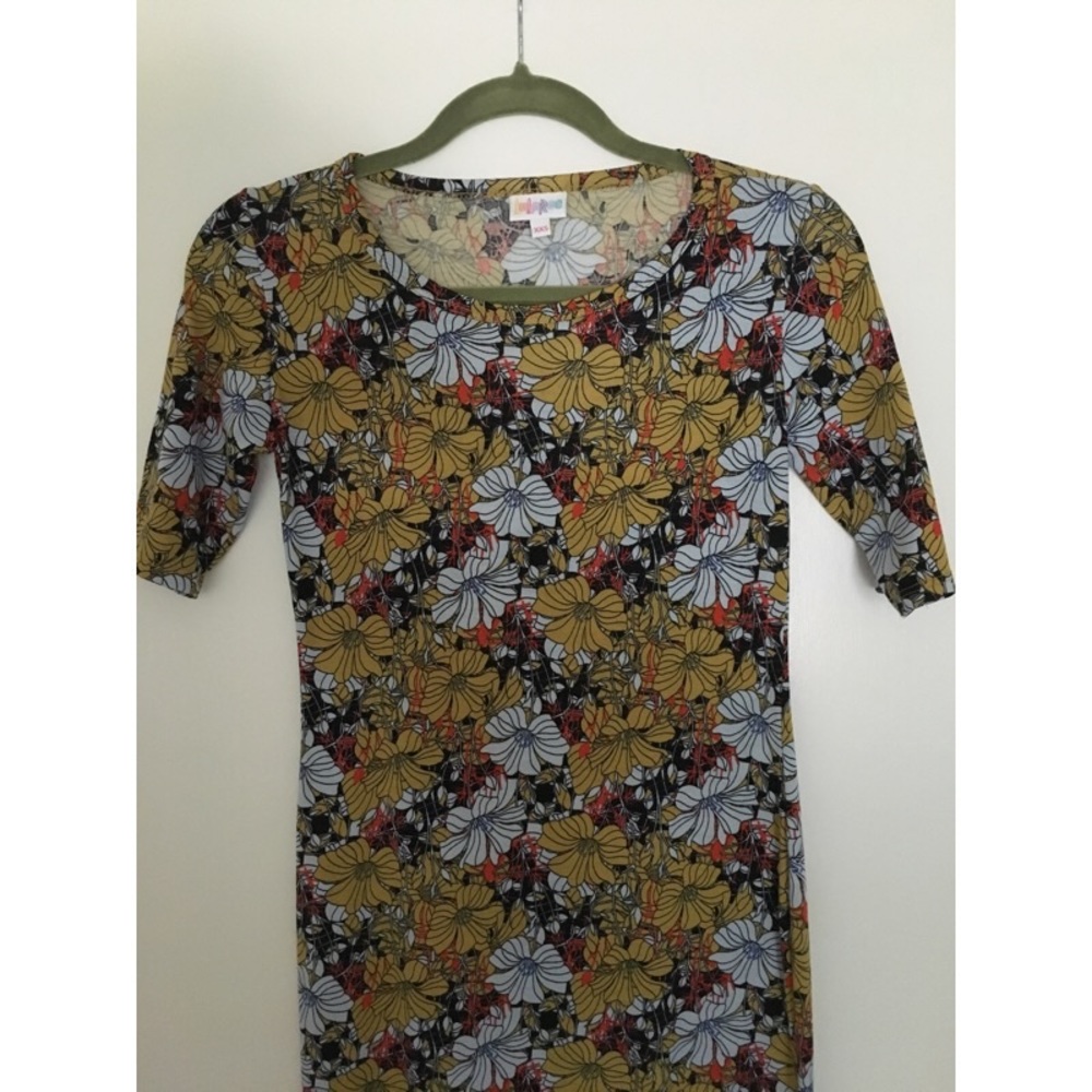 XXS LulaRoe Julia