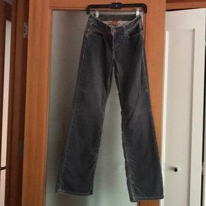 Christopher blue grey cords.