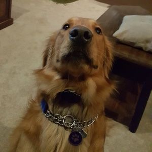 Meet your Posher, Matt