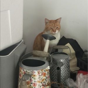 Meet your Posher, Bonita