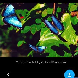 Meet your Posher, Rodrigo