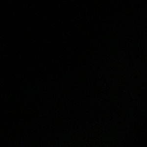 Meet your Posher, Bailey