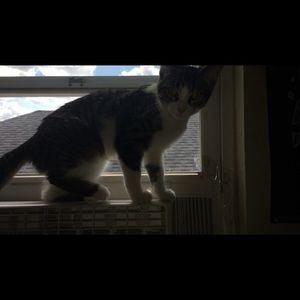 Meet your Posher, Miranda