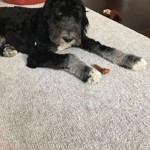 Meet your Posher, Kate