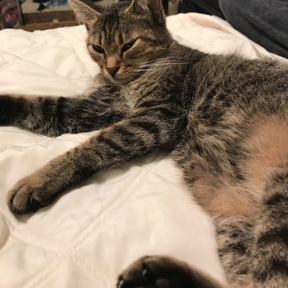 Meet your Posher, Megan - Picture 1 of 1