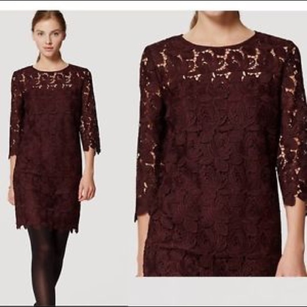 Ann Taylor Lace Shift Dress