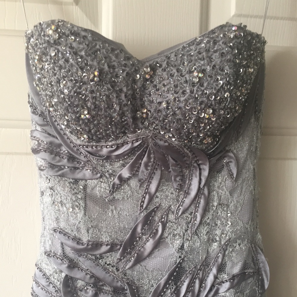 Gorgeous Fitted Silver Strapless Gown