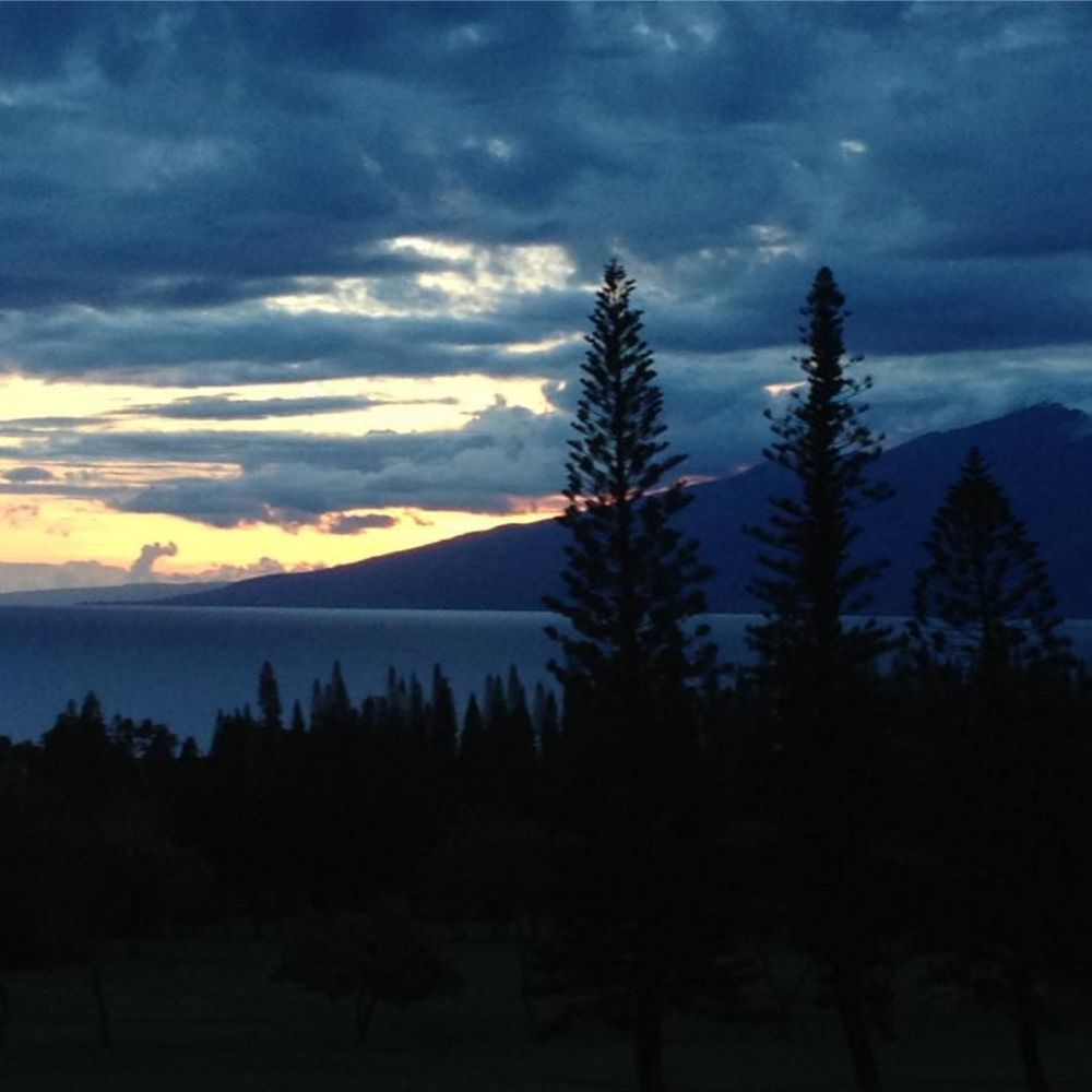 Meet your Posher, Violet