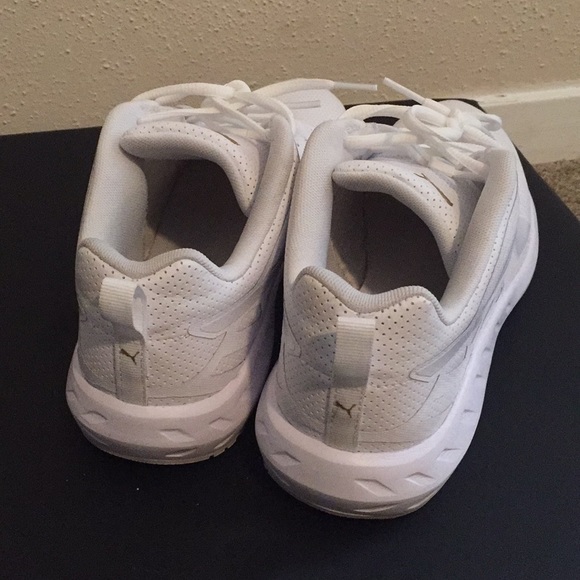 PUMAS - Picture 2 of 4